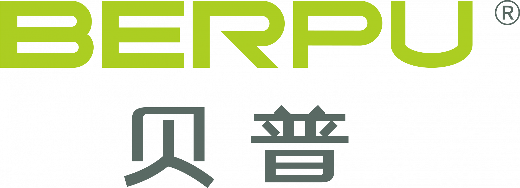 Berpu Medical Technology